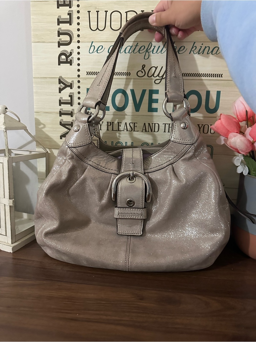 Coach Metallic Sparkly Vintage Soho Bag